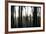 Hanging in the Branches-Rory Garforth-Framed Photographic Print