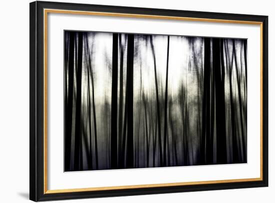 Hanging in the Branches-Rory Garforth-Framed Photographic Print