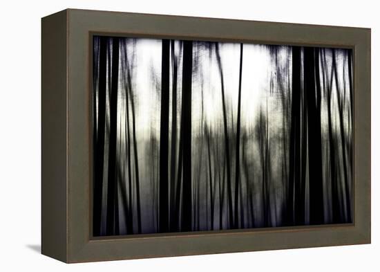 Hanging in the Branches-Rory Garforth-Framed Premier Image Canvas