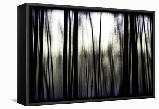 Hanging in the Branches-Rory Garforth-Framed Premier Image Canvas