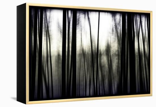 Hanging in the Branches-Rory Garforth-Framed Premier Image Canvas