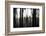 Hanging in the Branches-Rory Garforth-Framed Photographic Print