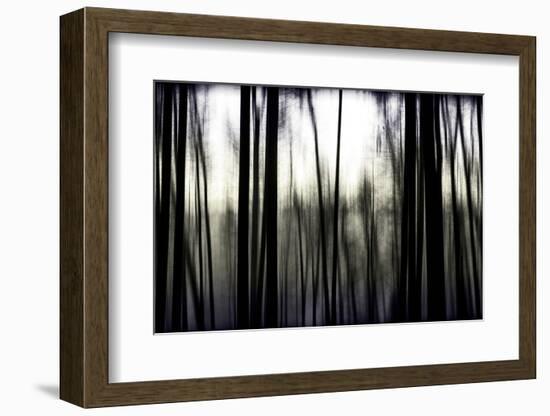 Hanging in the Branches-Rory Garforth-Framed Photographic Print
