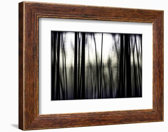 Hanging in the Branches-Rory Garforth-Framed Photographic Print