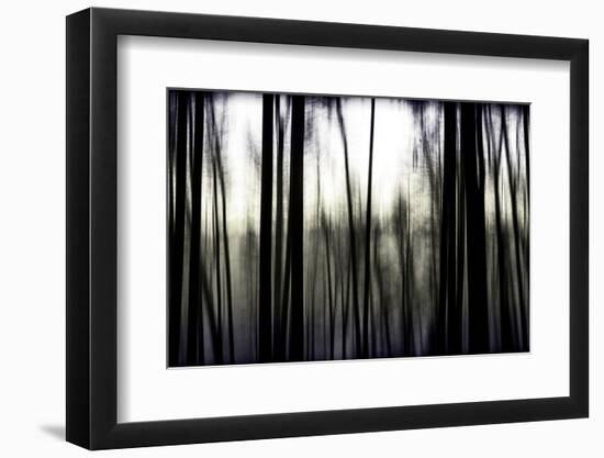 Hanging in the Branches-Rory Garforth-Framed Photographic Print