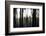 Hanging in the Branches-Rory Garforth-Framed Photographic Print