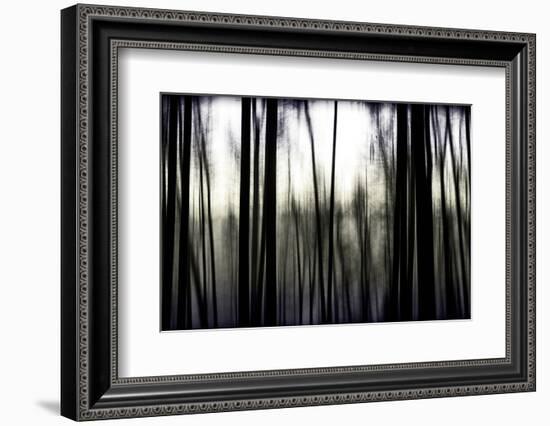 Hanging in the Branches-Rory Garforth-Framed Photographic Print