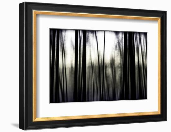 Hanging in the Branches-Rory Garforth-Framed Photographic Print