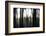 Hanging in the Branches-Rory Garforth-Framed Photographic Print