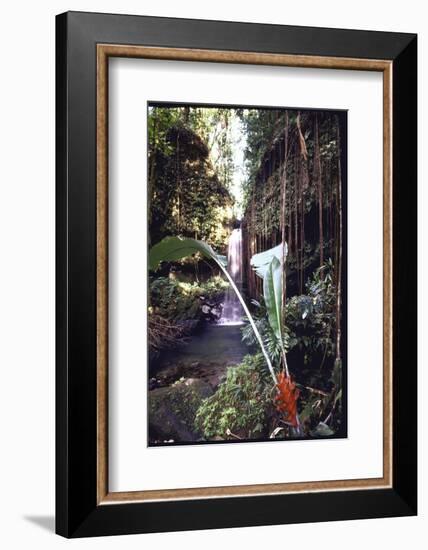 Hanging Liana Vines Frame Waterfall Tumbling Into Emerald Pool-John Dominis-Framed Photographic Print