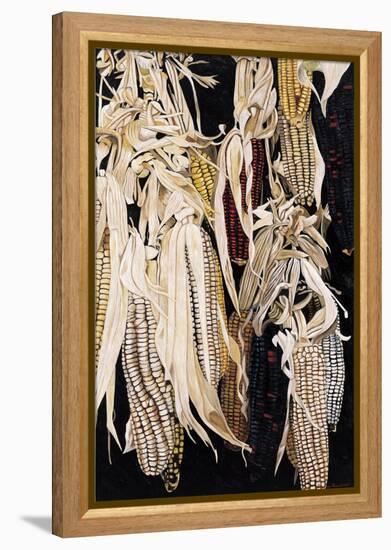 Hanging Maize Cobs, One Red, 2004-Pedro Diego Alvarado-Framed Premier Image Canvas