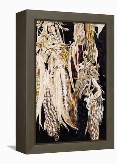 Hanging Maize Cobs, One Red, 2004-Pedro Diego Alvarado-Framed Premier Image Canvas