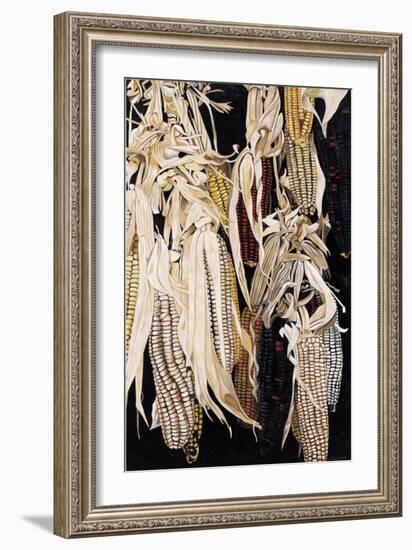 Hanging Maize Cobs, One Red, 2004-Pedro Diego Alvarado-Framed Giclee Print