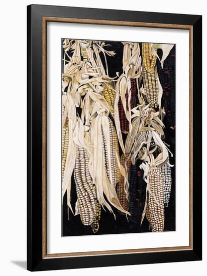 Hanging Maize Cobs, One Red, 2004-Pedro Diego Alvarado-Framed Giclee Print