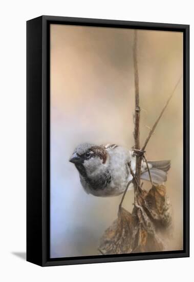 Hanging on Sparrow-Jai Johnson-Framed Premier Image Canvas