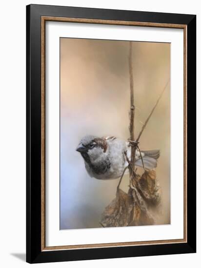 Hanging on Sparrow-Jai Johnson-Framed Giclee Print