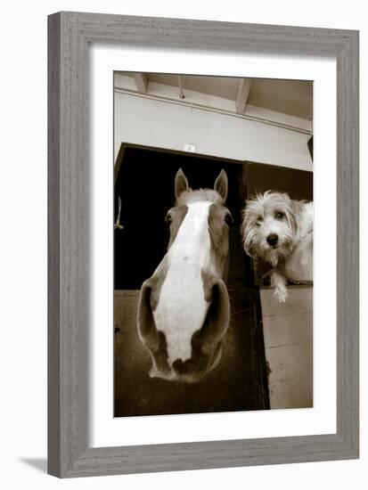 Hanging Out-Jim Dratfield-Framed Photo