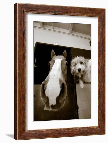 Hanging Out-Jim Dratfield-Framed Photo