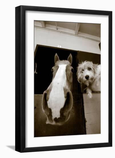 Hanging Out-Jim Dratfield-Framed Photo