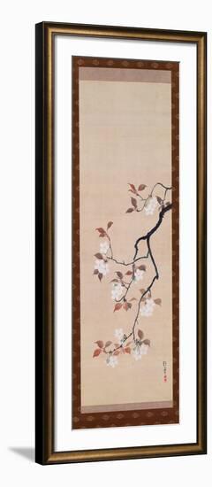 Hanging Scroll Depicting Cherry Blossoms, from a Triptych of the Three Seasons, Japanese-Sakai Hoitsu-Framed Giclee Print