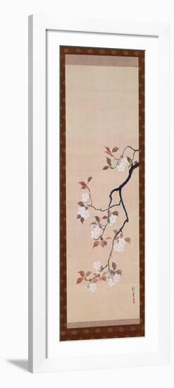 Hanging Scroll Depicting Cherry Blossoms, from a Triptych of the Three Seasons, Japanese-Sakai Hoitsu-Framed Giclee Print