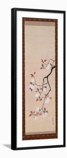 Hanging Scroll Depicting Cherry Blossoms, from a Triptych of the Three Seasons, Japanese-Sakai Hoitsu-Framed Giclee Print