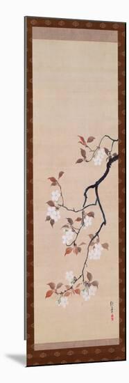 Hanging Scroll Depicting Cherry Blossoms, from a Triptych of the Three Seasons, Japanese-Sakai Hoitsu-Mounted Giclee Print