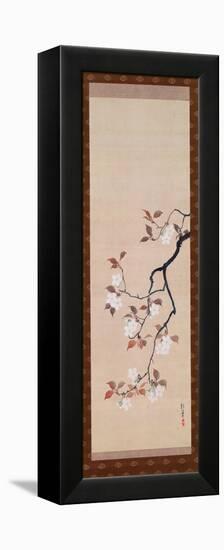 Hanging Scroll Depicting Cherry Blossoms, from a Triptych of the Three Seasons, Japanese-Sakai Hoitsu-Framed Premier Image Canvas