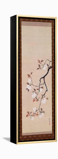 Hanging Scroll Depicting Cherry Blossoms, from a Triptych of the Three Seasons, Japanese-Sakai Hoitsu-Framed Premier Image Canvas