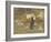 Hanging the Washing-Helen Allingham-Framed Giclee Print