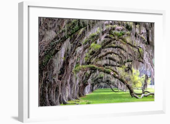 Hanging to the Right-Daniel Burt-Framed Photographic Print