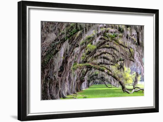Hanging to the Right-Daniel Burt-Framed Photographic Print