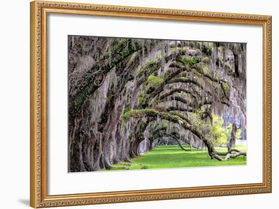 Hanging to the Right-Daniel Burt-Framed Photographic Print