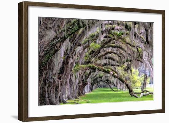 Hanging to the Right-Daniel Burt-Framed Photographic Print