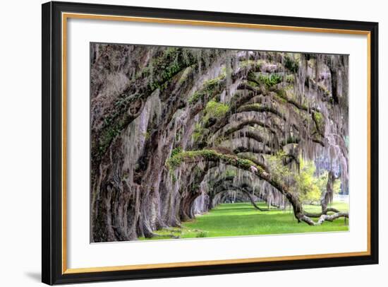 Hanging to the Right-Daniel Burt-Framed Photographic Print