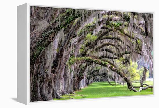 Hanging to the Right-Daniel Burt-Framed Premier Image Canvas