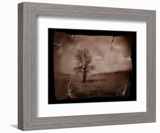 Hanging Tree-Jack Germsheld-Framed Photographic Print