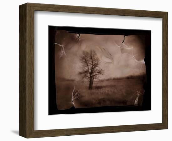 Hanging Tree-Jack Germsheld-Framed Photographic Print