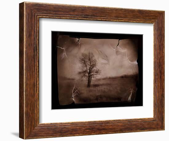 Hanging Tree-Jack Germsheld-Framed Photographic Print