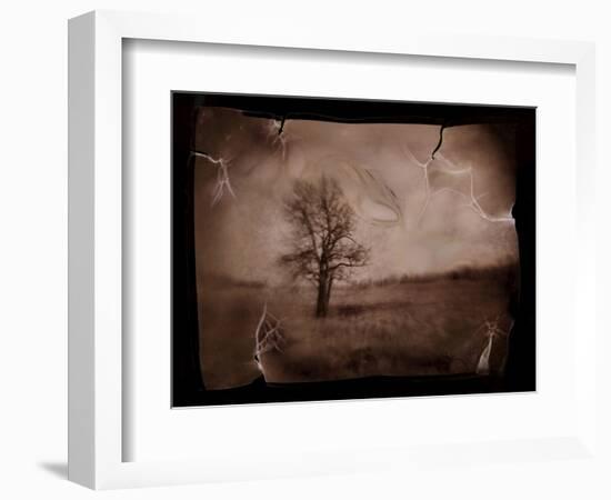 Hanging Tree-Jack Germsheld-Framed Photographic Print