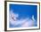 Hangliders, Rio De Janeiro, Brazil-Tom Haseltine-Framed Photographic Print