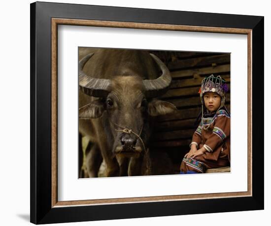 Hani Child and Water Buffalo for Ploughing Rice Paddies, Yuanyang, Honghe Prefecture, China-Pete Oxford-Framed Photographic Print