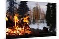 Premium Photographic Print