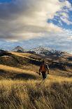 Man Hikes While Upland Bird Hunting In Montana-Hannah Dewey-Photographic Print