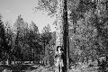 Photographic Print
