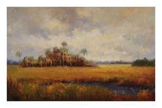 Sunset on the Bayou-Hannah Paulsen-Art Print
