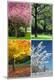 'Four Seasons Collage: Spring, Summer, Autumn, Winter' Art Print ...