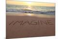 Premium Photographic Print
