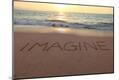 Photographic Print