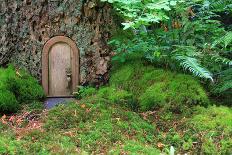 Little Wooden Fairy Tale Door In A Tree Trunk-Hannamariah-Art Print